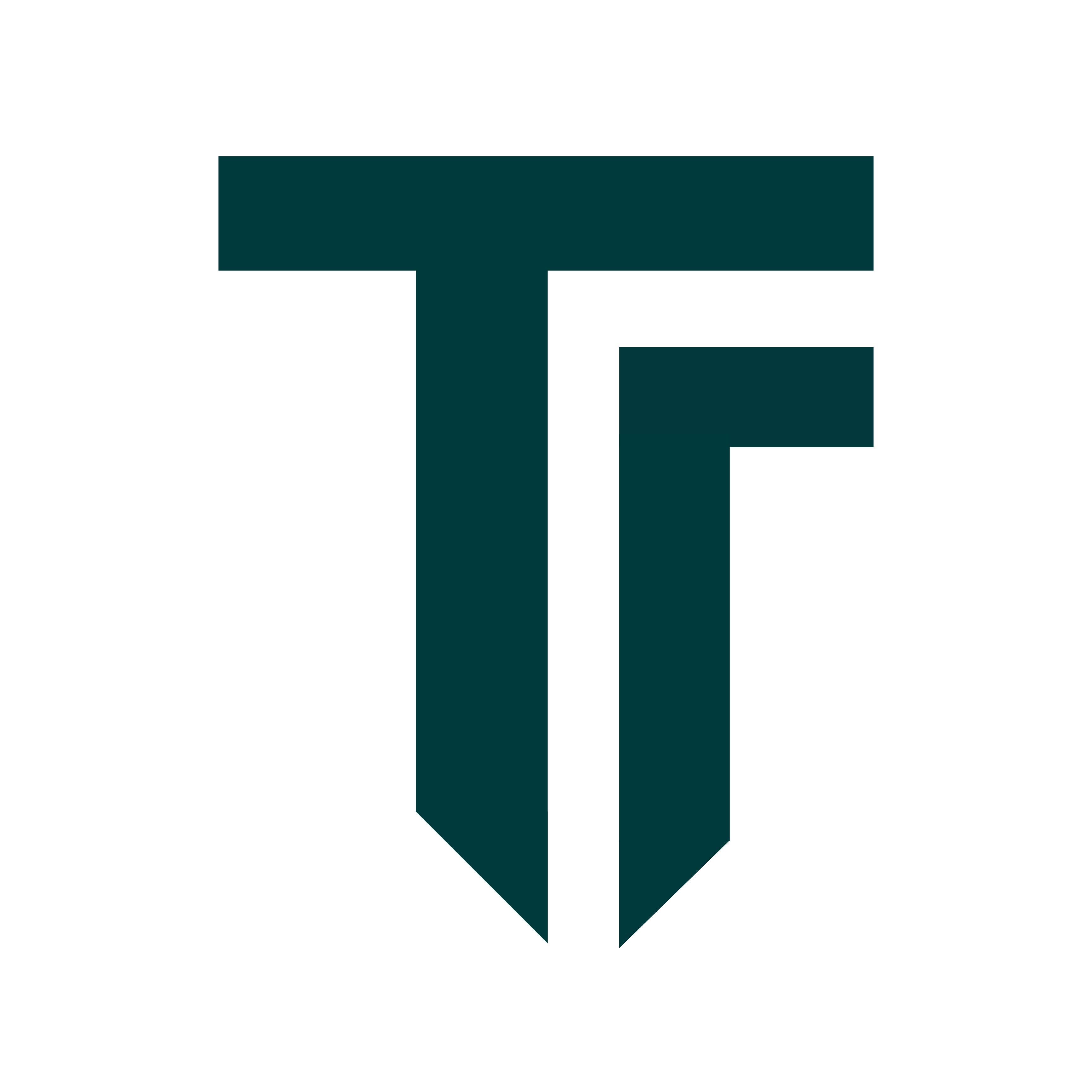 TalTech Digital Solutions Monogram Logo